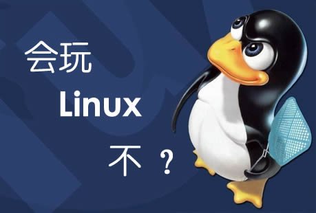 linux如何查看端口占用？